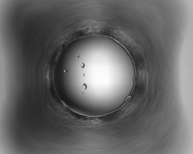 X0000098111250200804111048