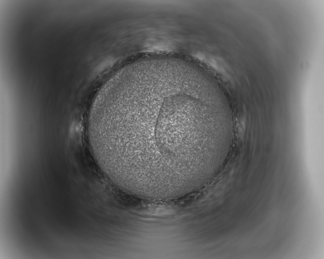 X0000098111254200804111048