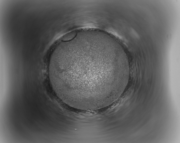X0000098111255200804111048