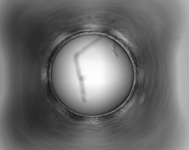 X0000098111259200804111048
