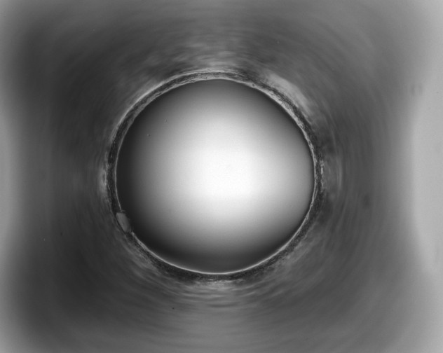 X0000098111260200804111048