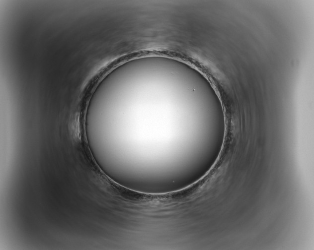 X0000098111262200804111048