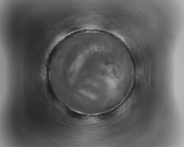 X0000098111263200804111048