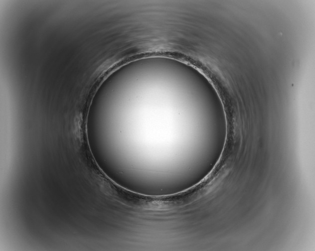 X0000098111265200804111048
