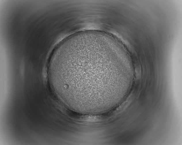 X0000098111266200804111048