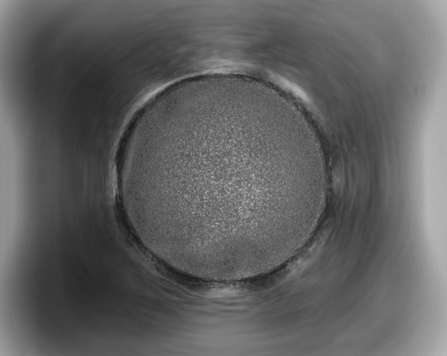 X0000098111267200804111048