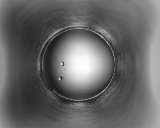 X0000098111268200804111048