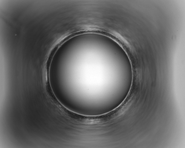 X0000098111269200804111048