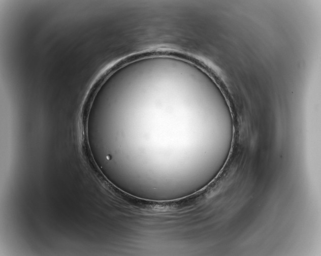 X0000098111271200804111048