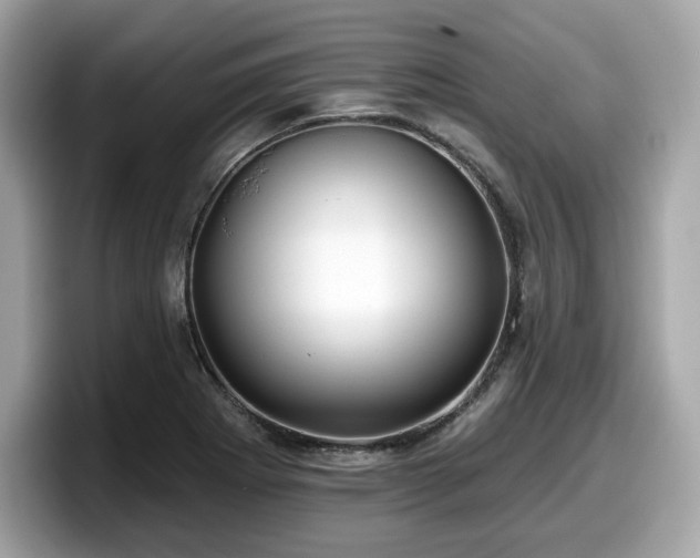 X0000098111273200804111048