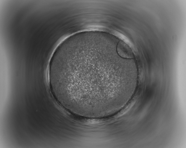 X0000098111275200804111048