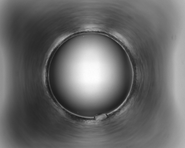 X0000098111277200804111048