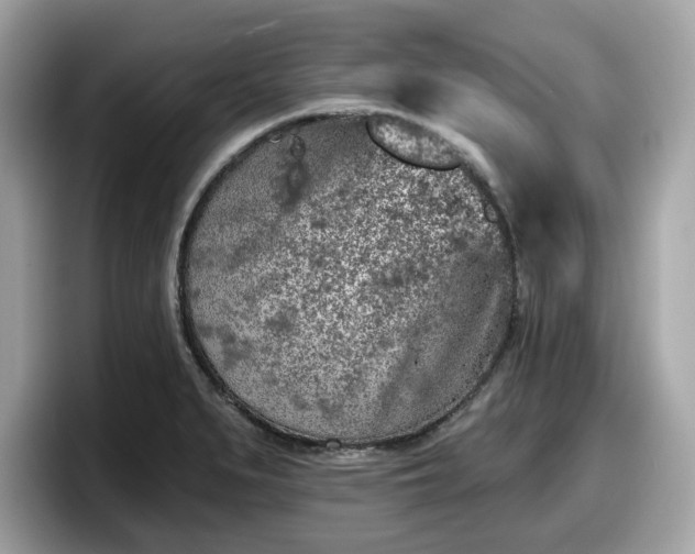 X0000098111279200804111048