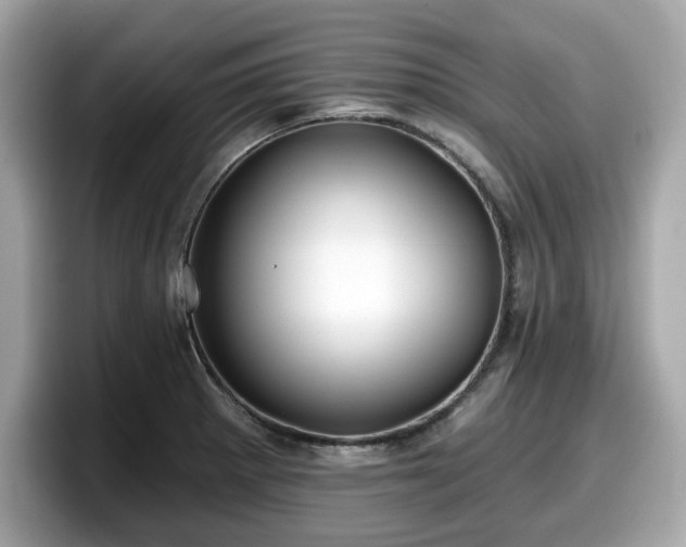 X0000098111281200804111048