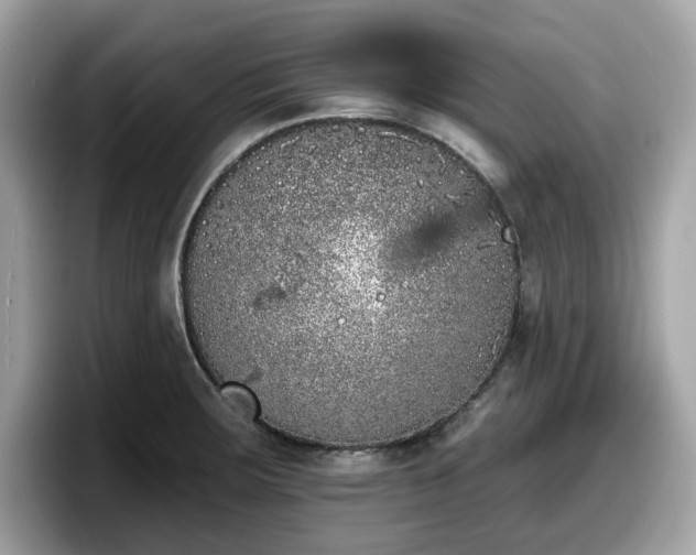 X0000098111283200804111048