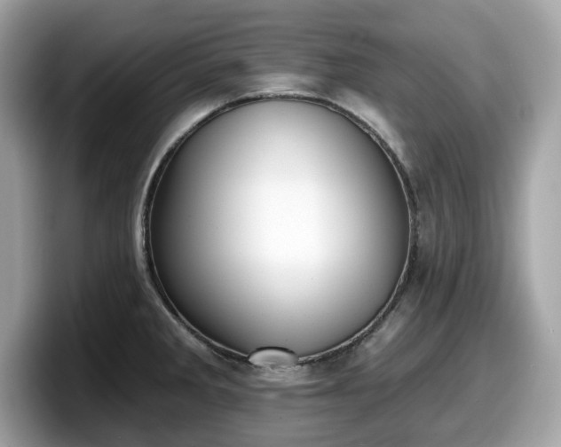 X0000098111285200804111048