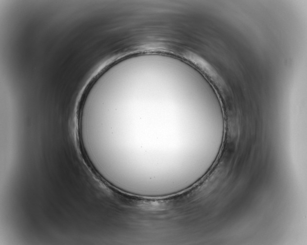 X0000098111286200804111048