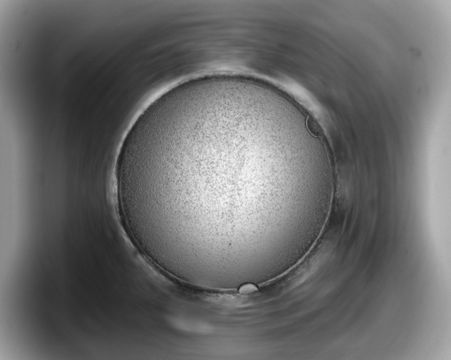 X0000098111287200804111048