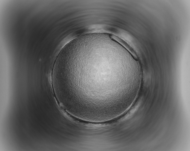 X0000098111289200804111048