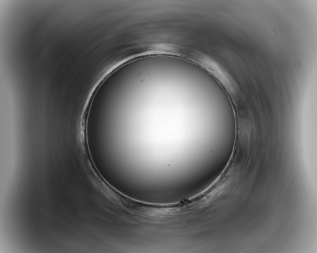 X0000098111292200804111048