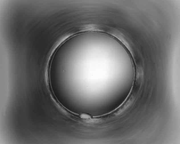 X0000098111293200804111048