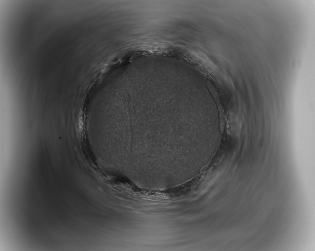 X0000098111298200804111047