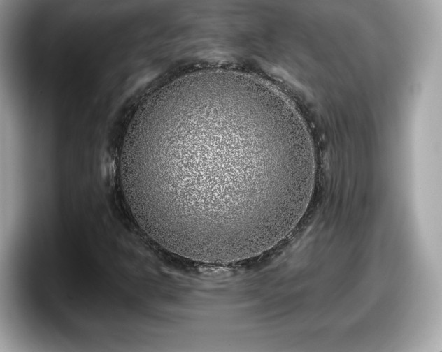 X0000098111302200804111047