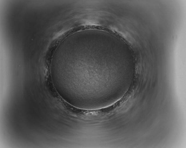 X0000098111303200804111047