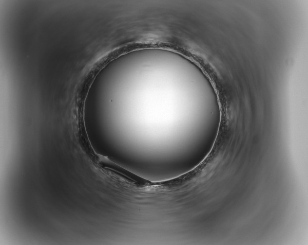 X0000098111304200804111047