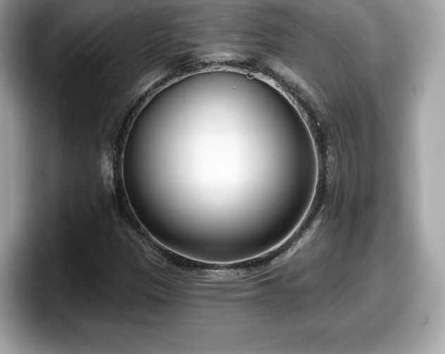 X0000098111305200804111047