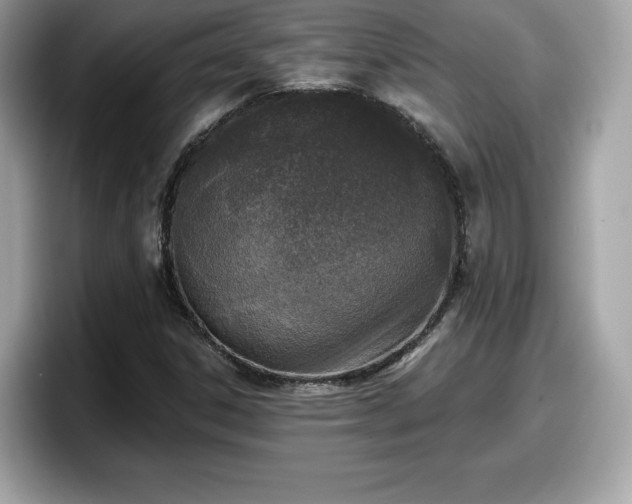 X0000098111306200804111047