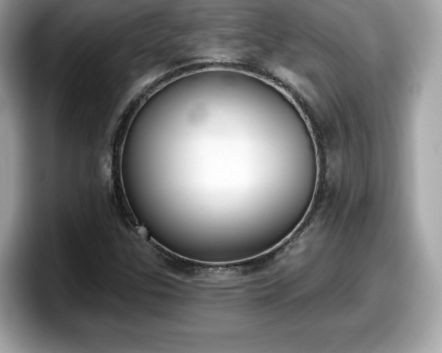X0000098111307200804111047