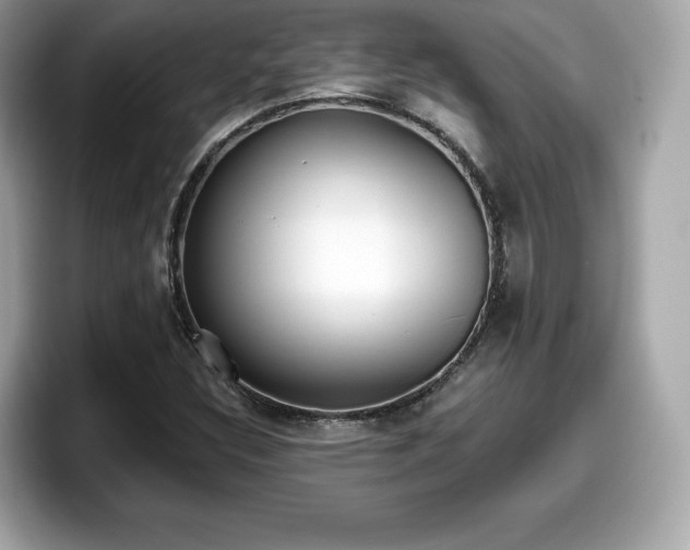 X0000098111308200804111047