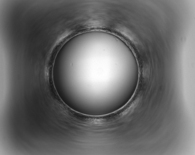 X0000098111309200804111047