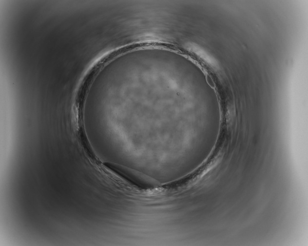 X0000098111310200804111047