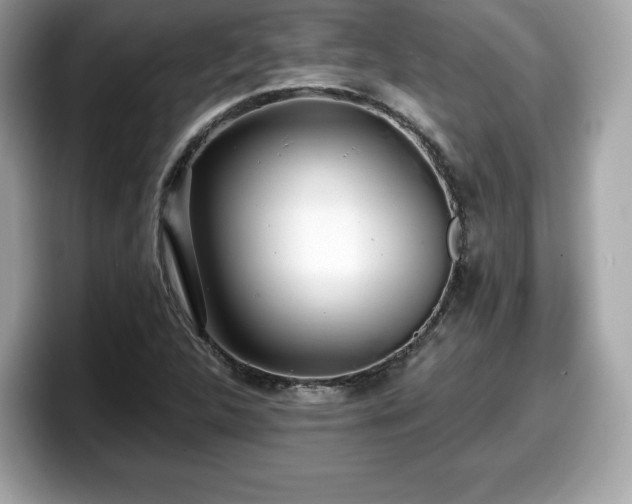 X0000098111312200804111047