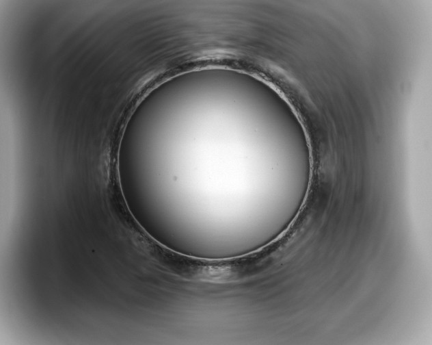 X0000098111313200804111047