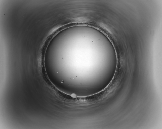X0000098111315200804111047