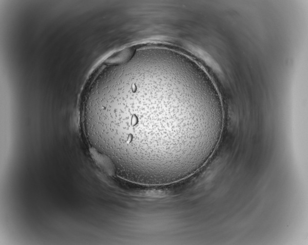 X0000098111316200804111047
