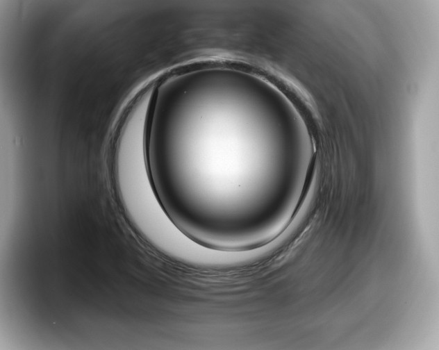 X0000098111318200804111047