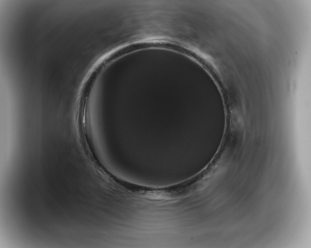 X0000098111319200804111047