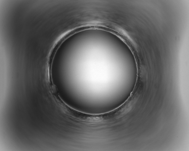 X0000098111320200804111047