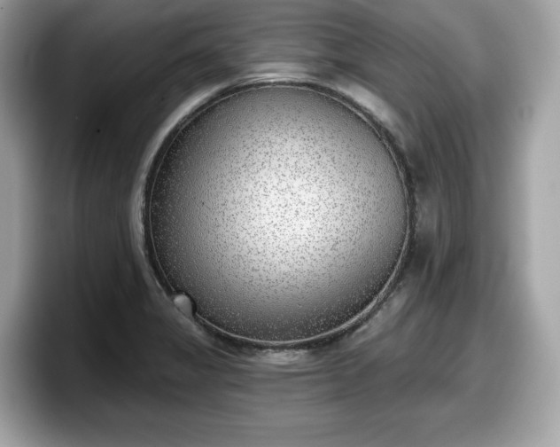X0000098111325200804111047