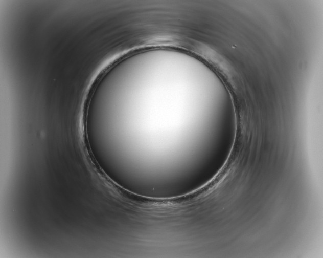 X0000098111328200804111047