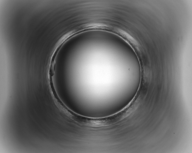 X0000098111330200804111047
