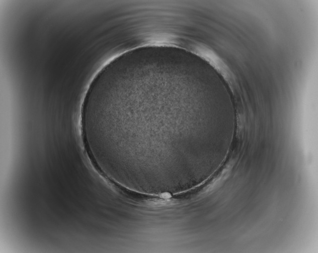 X0000098111331200804111047
