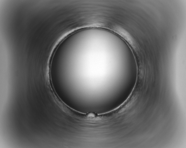 X0000098111332200804111047