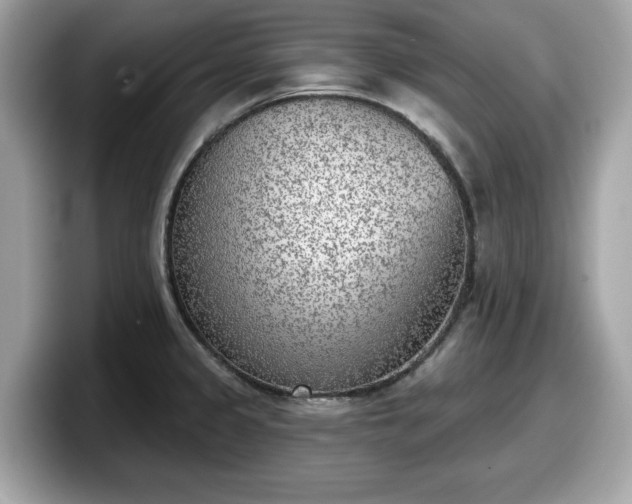 X0000098111333200804111047