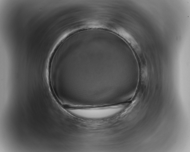 X0000098111334200804111047