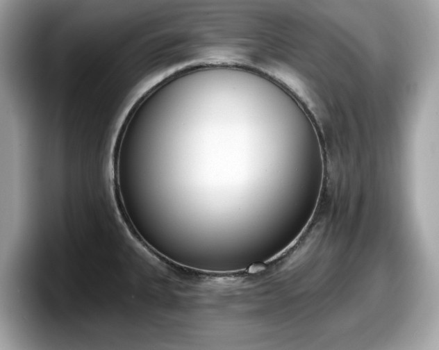 X0000098111335200804111047